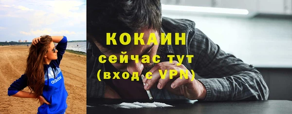 тгк Абаза