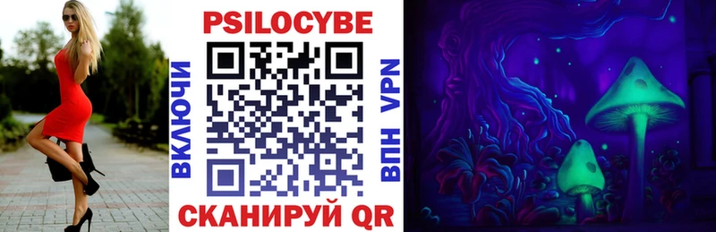 Галлюциногенные грибы Cubensis  купить   Краснодар 